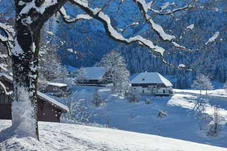 WhatsApp Image 2025-12-30 at 08.23.22 (1).jpeg